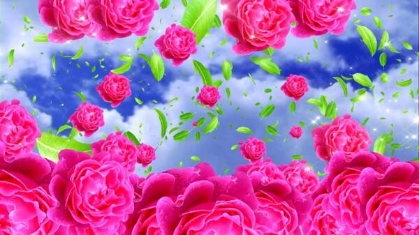 唯美红玫瑰花瓣飘落动态视频素材