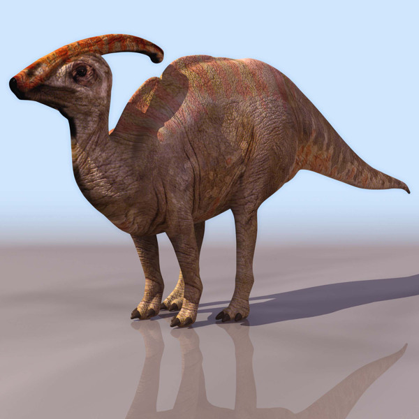 dinosaur副龙栉龙鸡冠龙副栉龙似棘龙高模