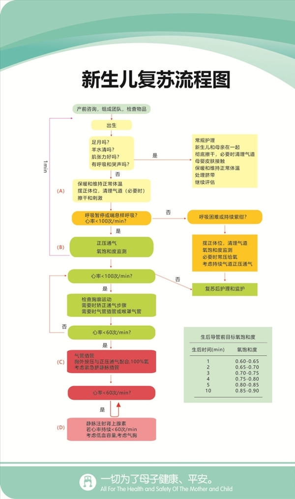 新生儿复苏流程图