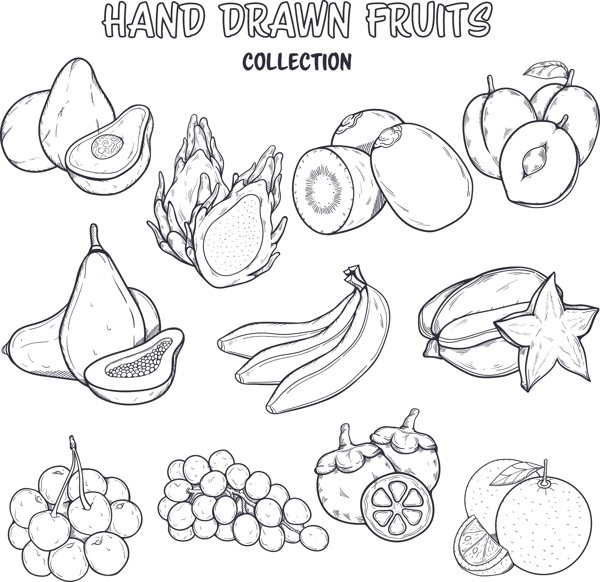 11款手绘水果设计矢量素材