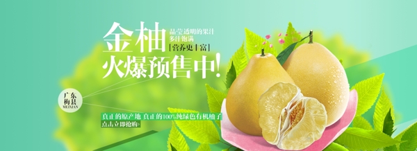 金柚水果海报图片