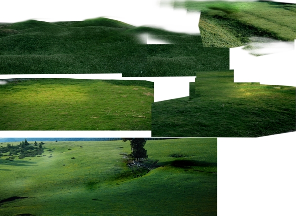 绿化土坡图片