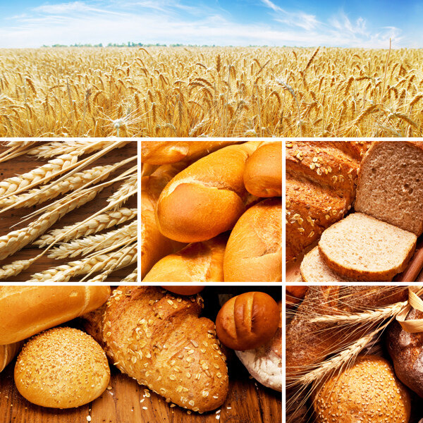麦田面包图片