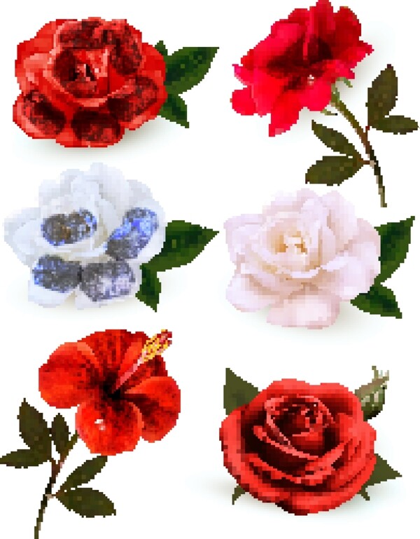 红玫瑰白玫瑰花