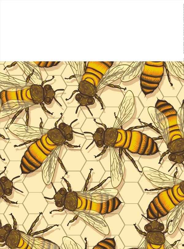蜜蜂图案