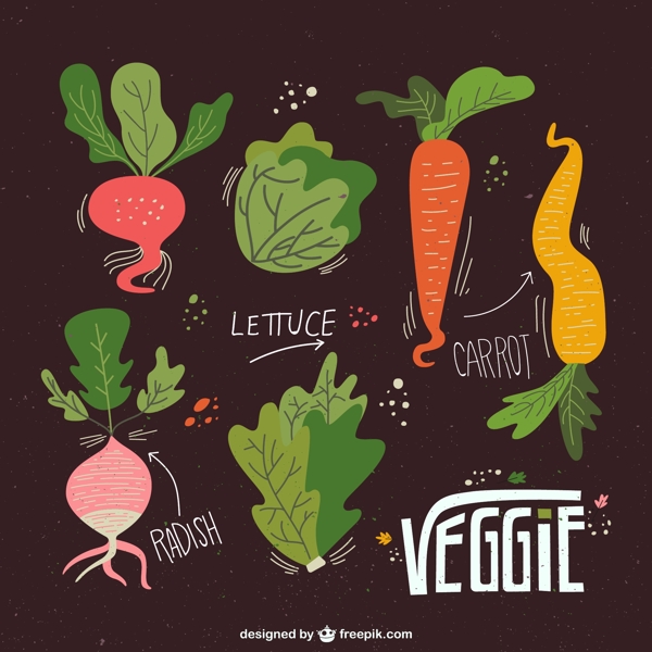 彩绘蔬菜图片