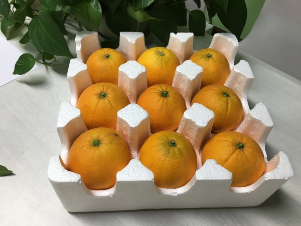 金堂脐橙橙子内包装泡沫箱