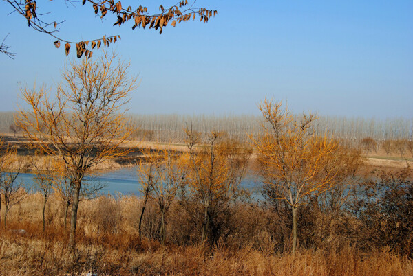 河南龙湖风景