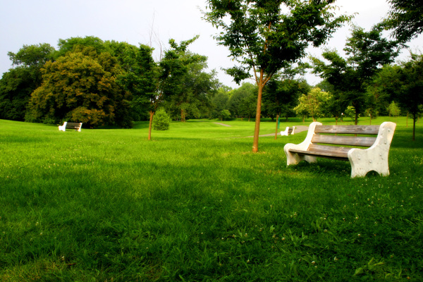 公园草坪长椅图片