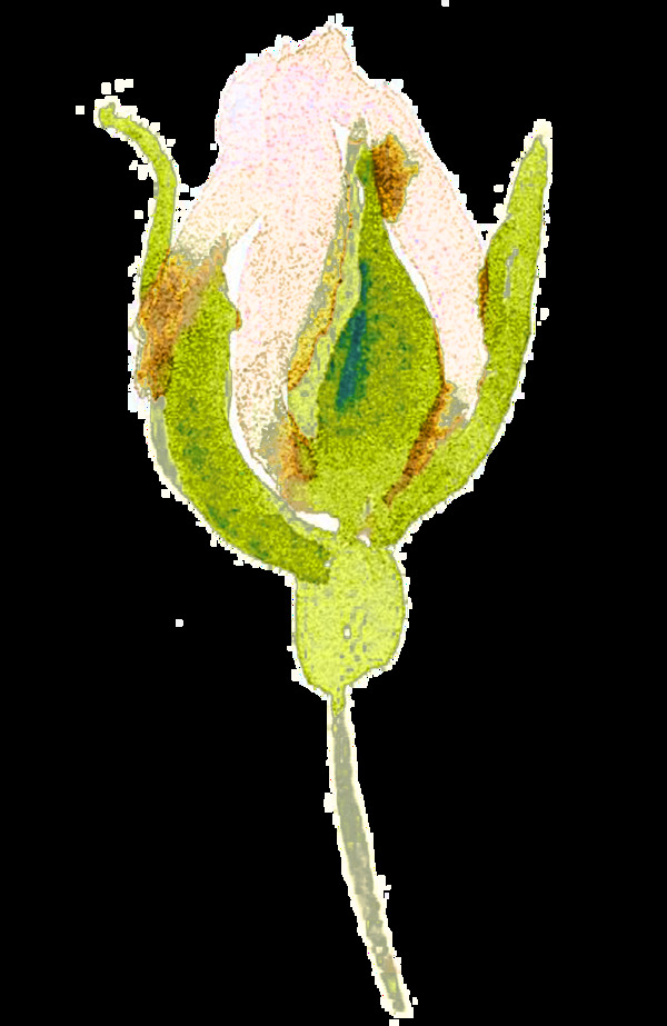 手绘一朵晕染的花朵png透明素材