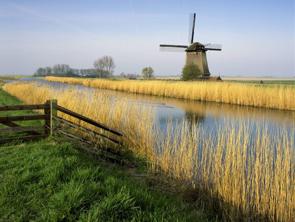 荷兰农场风车图片
