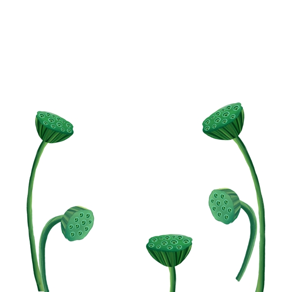 可爱绿色莲蓬装饰元素