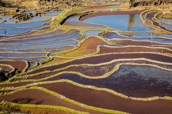 云南元阳箐口梯田风景