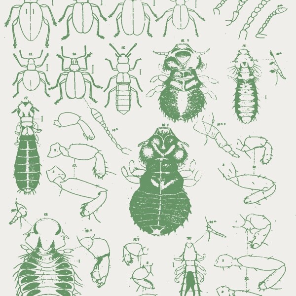 矢量图动物昆虫免费素材