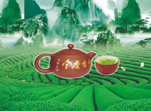 茶壶茶梯