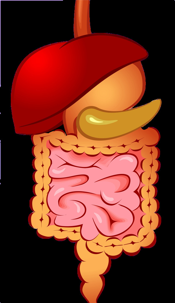 卡通人物肠子png元素素材