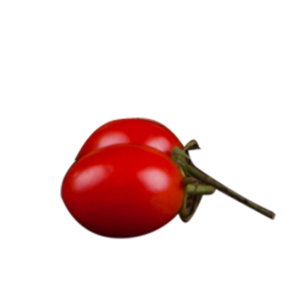 红色西红柿水果元素