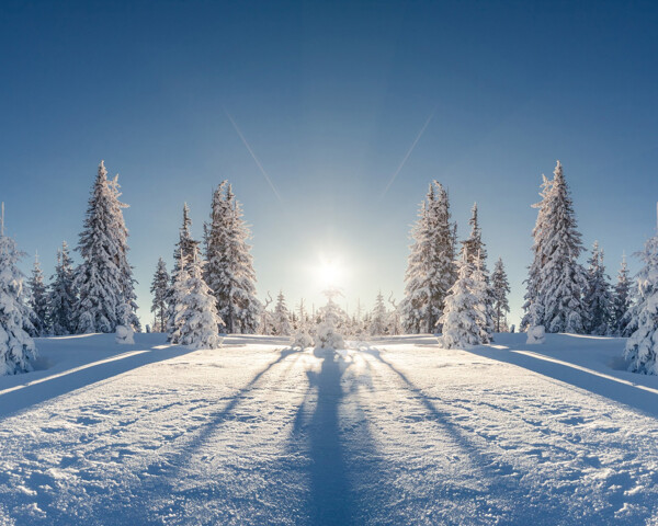 纯美的雪景