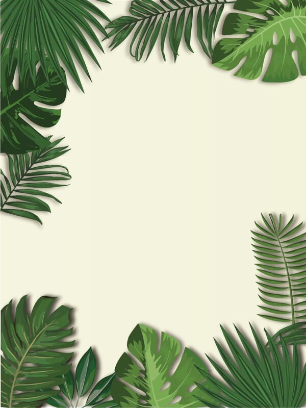 热带树叶背景图片