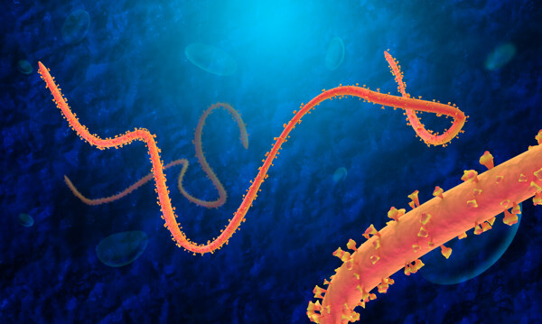 病毒微生物图片