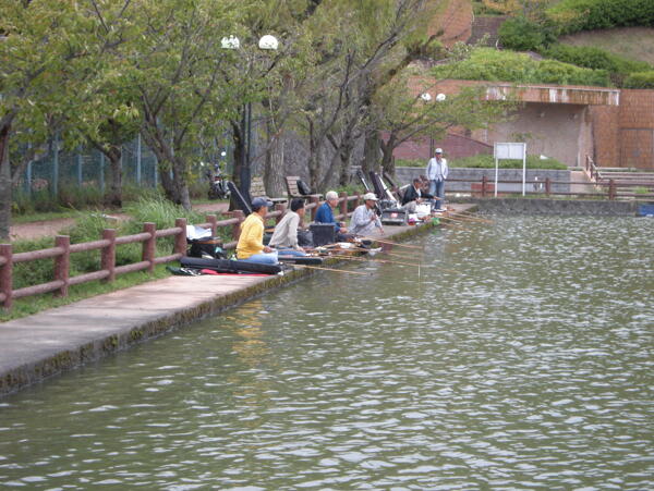 钓鱼人池塘钓场自然风景山峰山水鲫鱼日本摄影钓鱼比赛溪流小溪图片