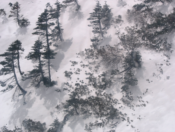 玉龙雪山图片