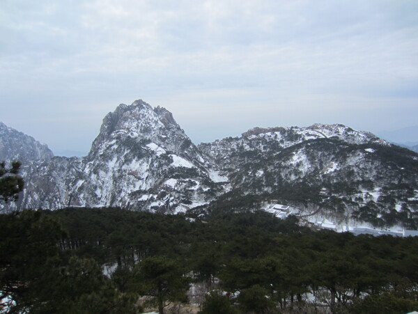 黄色雪景图片