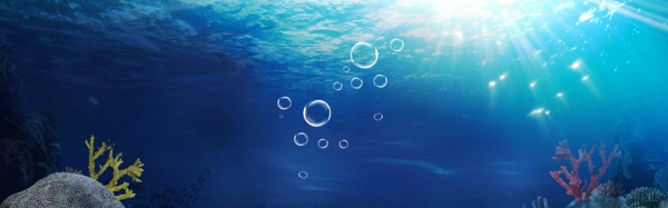 水泡气泡海底圆形泡泡