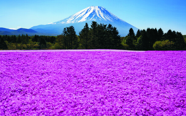 日本富士山