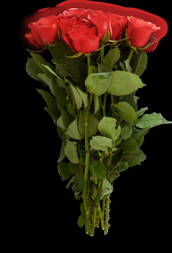鲜艳美丽的一束玫瑰花png透明素材