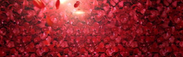 红玫瑰浪漫婚礼背景