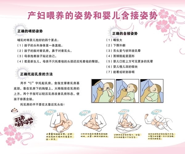 产妇喂养的姿势和婴儿含接姿势图片