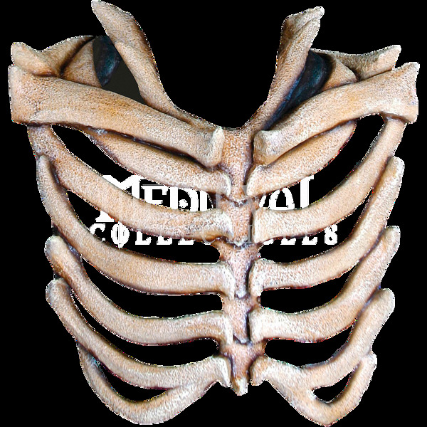 真实人体胸腔肋骨免抠png透明素材