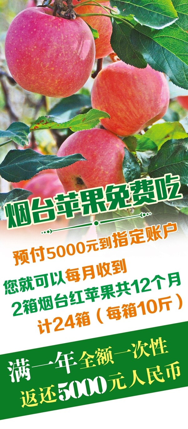 苹果促销免费吃展架海报