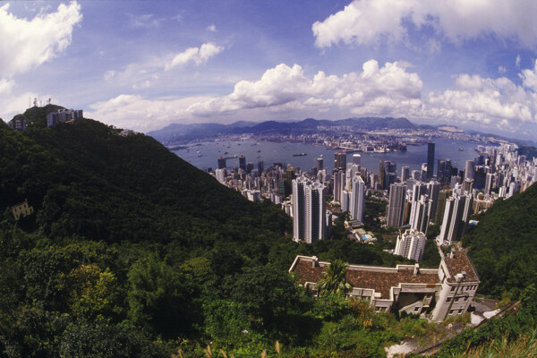 香港城市鸟瞰图片