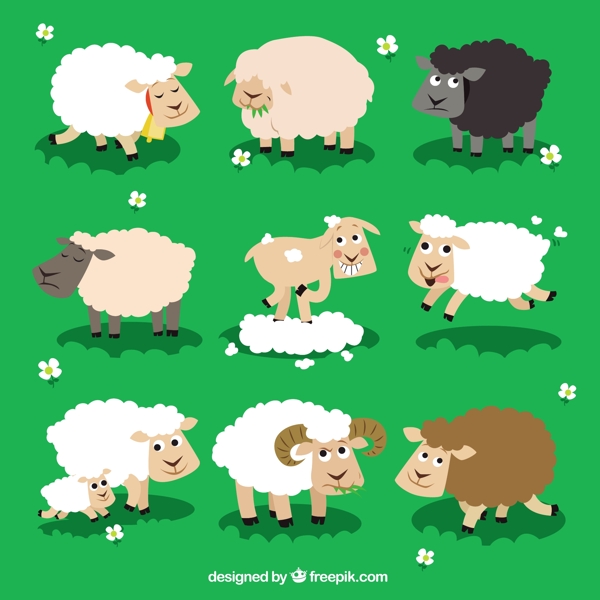 各种各样的羊