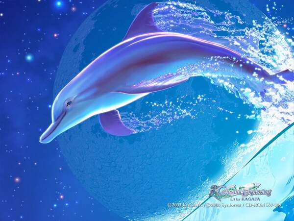 梦幻插画海豚躍出水面图片