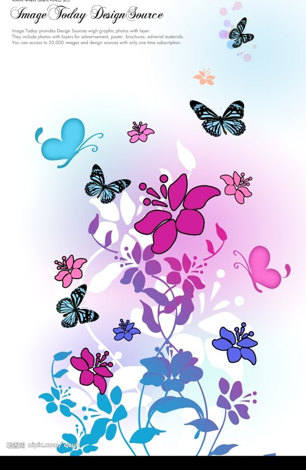 蝴蝶花丛图片