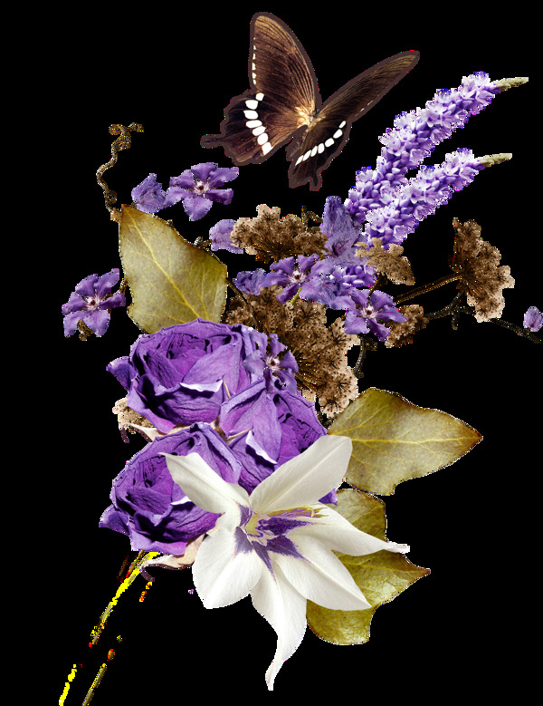 手绘植物花卉花束png透明素材