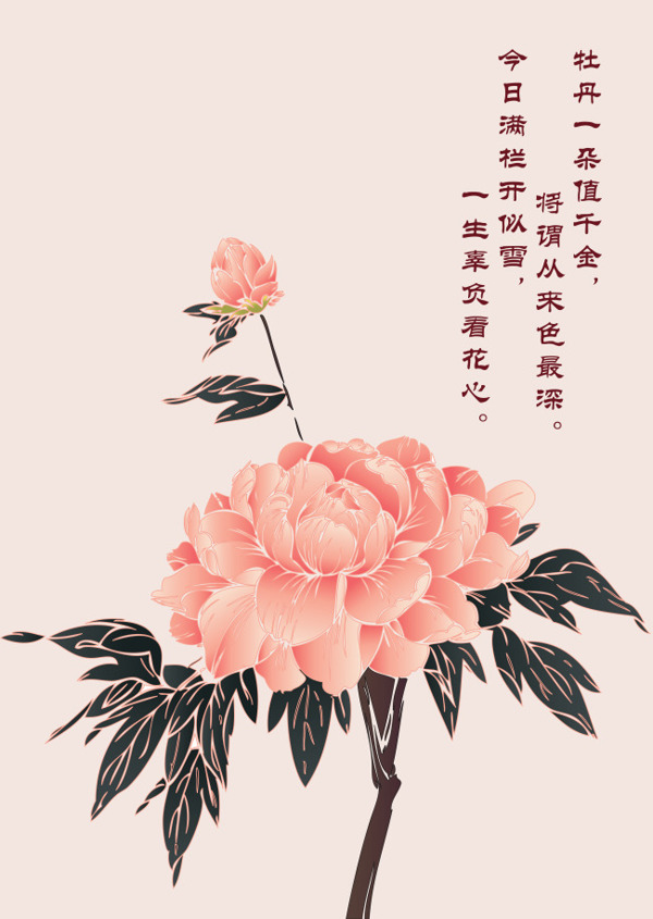 中国风牡丹多层花瓣