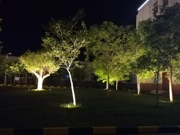 园林绿化照明效果