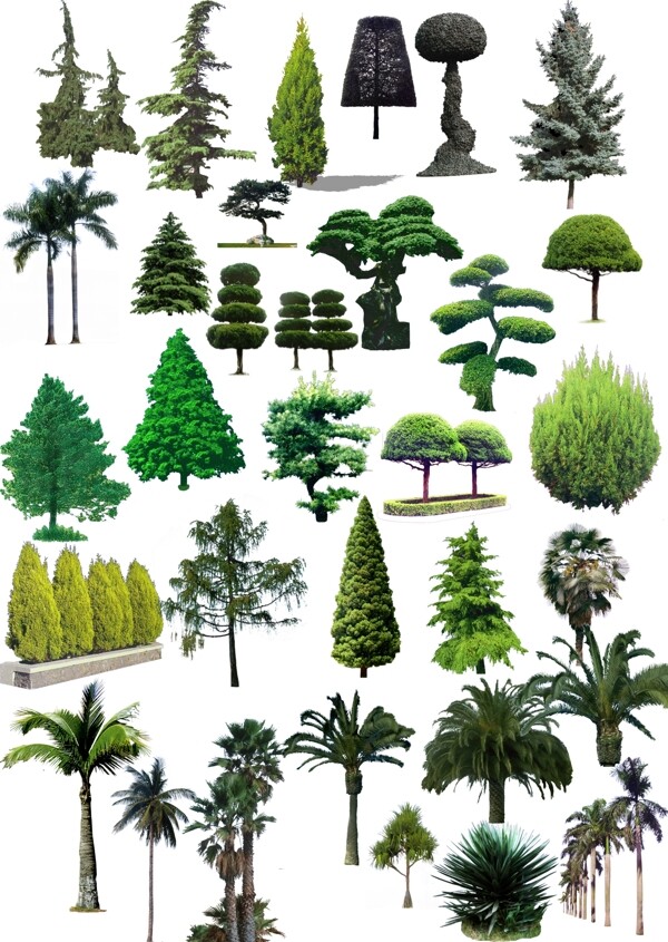 树木素材汇总图片