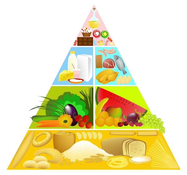 食物金字塔矢量素材