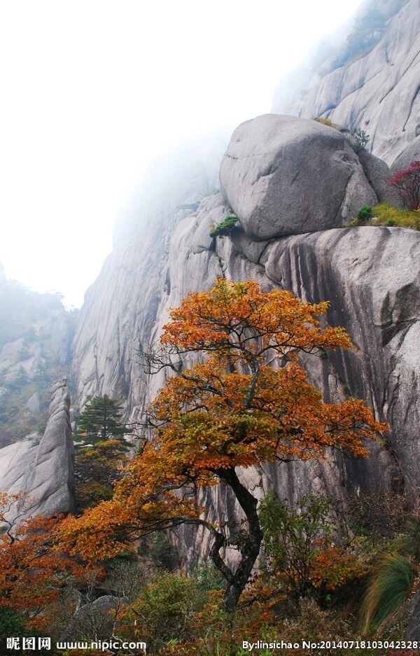 黄山秋色图片