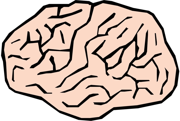 头颅大脑医用模型矢量素材EPS0048