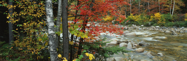 红叶流水风景图图片
