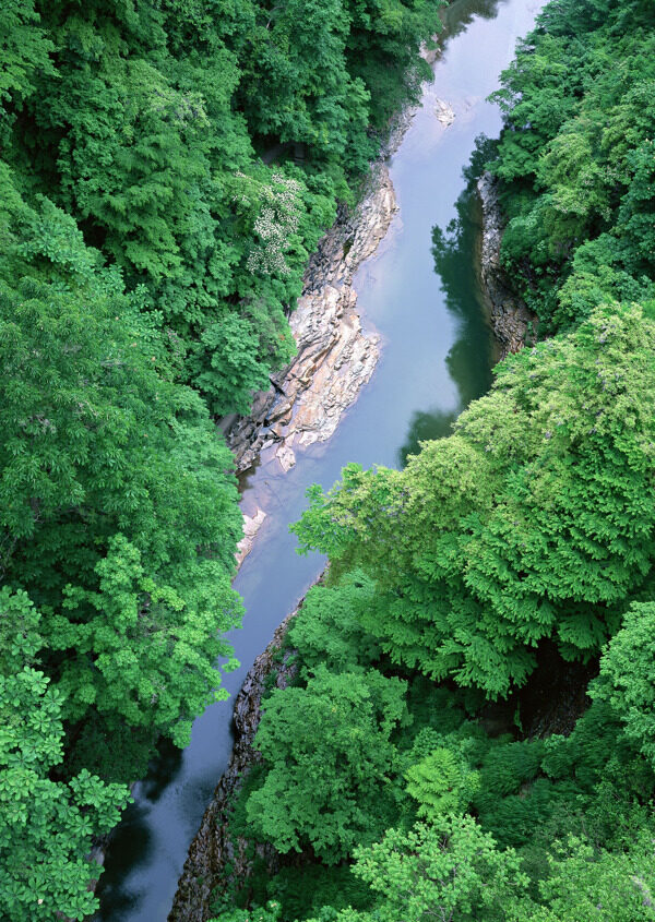 山林航拍