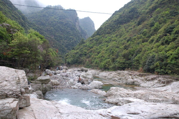 树植物水风景山