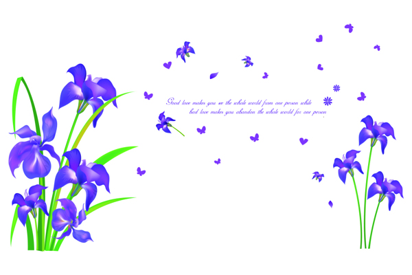紫色群花