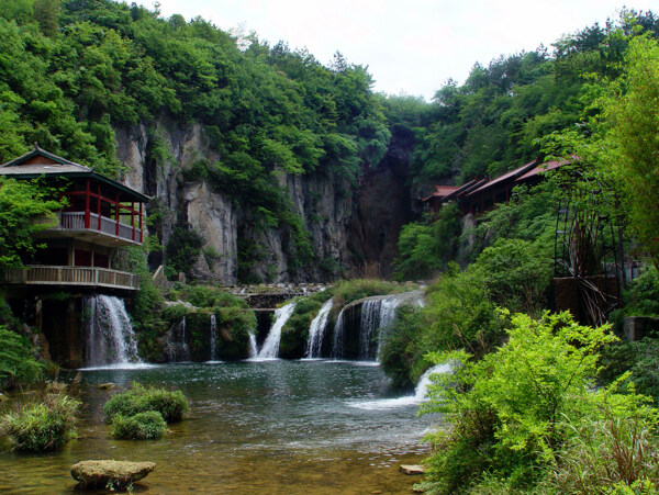 树植物水风景